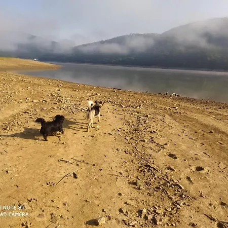 Tu Jest Pieknie * Ropa