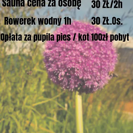 Tu Jest Pieknie *