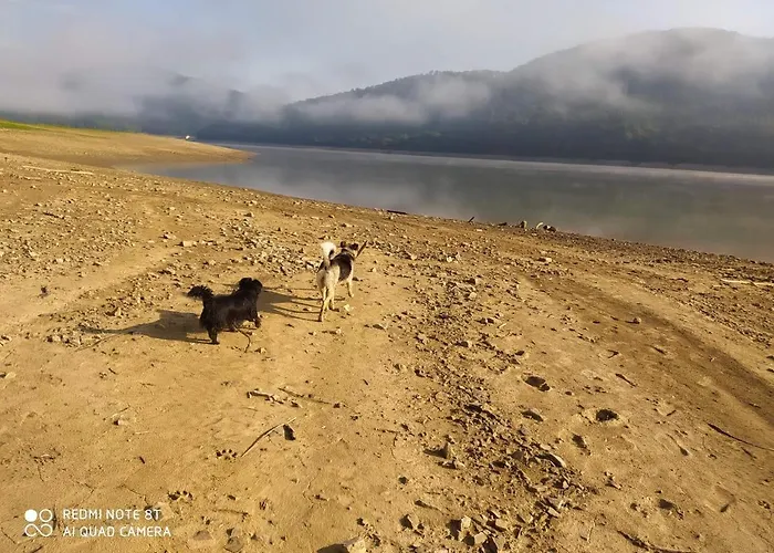 Tu Jest Pieknie * Ropa